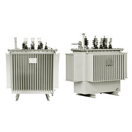 Transformador de poder inmerso en aceite del transformador de la distribución de la serie 11kv de S9-M proveedor